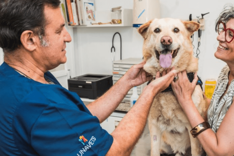 Veterinary Hospital in Terrassa 0