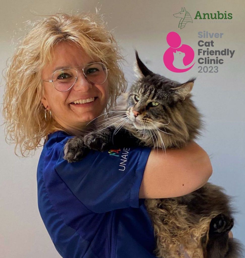 medicina felina expertos en barcelona