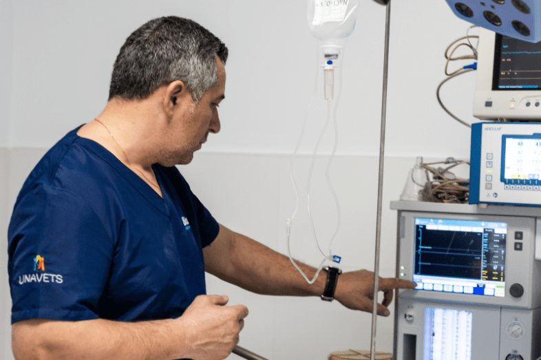 clinica veterinaria y hospital 24 horas bierzoo