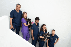 hospital veterinario bierzoo instalaciones 8