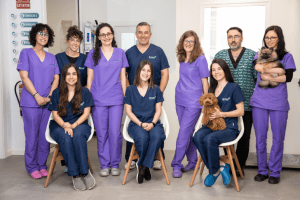 hospital-veterinario-bierzoo-instalaciones-1.png