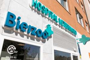 hospital-veterinario-bierzoo-instalaciones-7.png