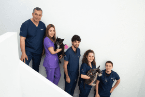 hospital-veterinario-bierzoo-instalaciones-8.png