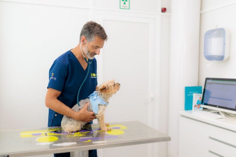 Centro veterinario C rincon