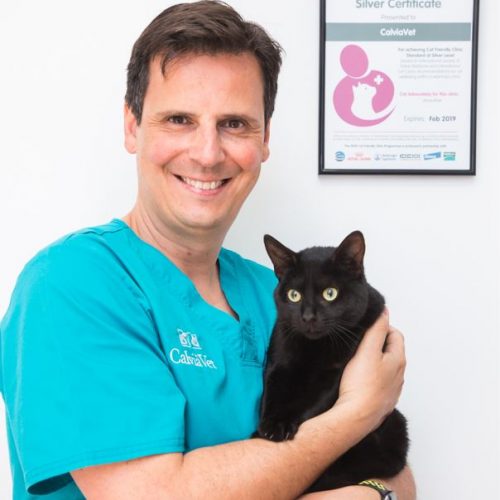 calviavet catfriendly