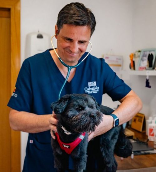 medicina inter medicina inter