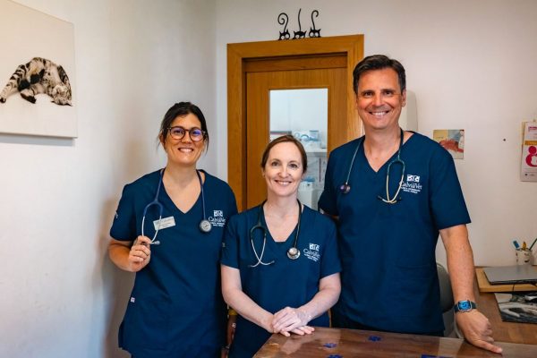 portada cal portada cal