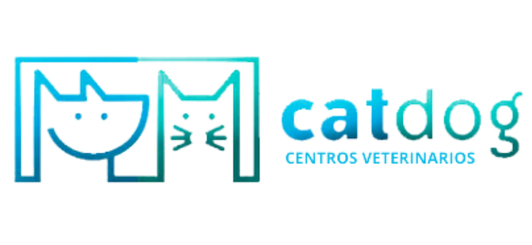 Catdog