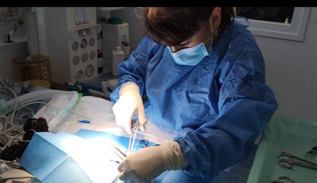 Cancer Treatments 2