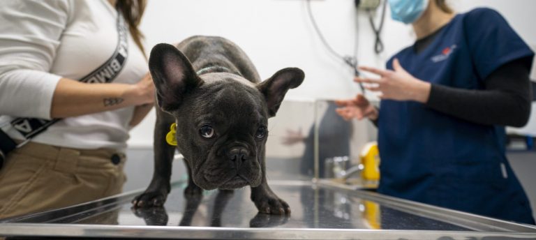 Sterilization 0