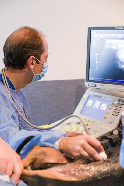 Diagnostic Imaging 1