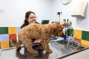 ensanche-fotos-veterinarios7-1.jpg