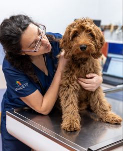 ensanche-fotos-veterinarios8-scaled-e1701103906779.jpg