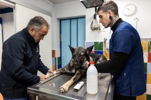 ensanche-servicios-1.jpg