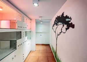 hospitalizacion-canina.jpg