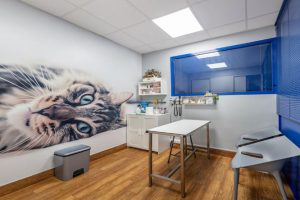 instalaciones-1.jpg