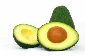 aguacate veneno para yacos de cola roja