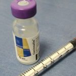 diabetes en mascotas