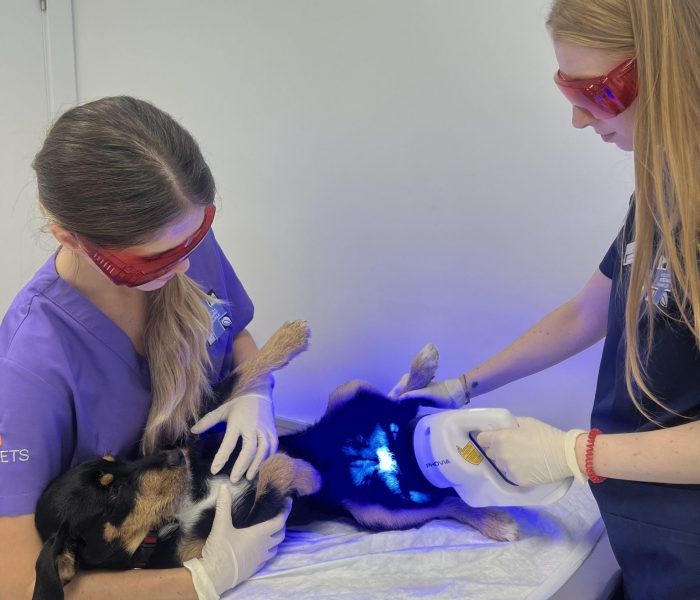 Terapia lumínica Terapia lumínica