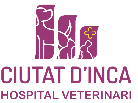 Veterinario Inca