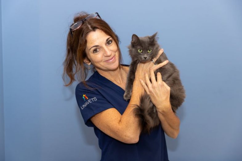 Quienes somos irubide vitoria veterinarios