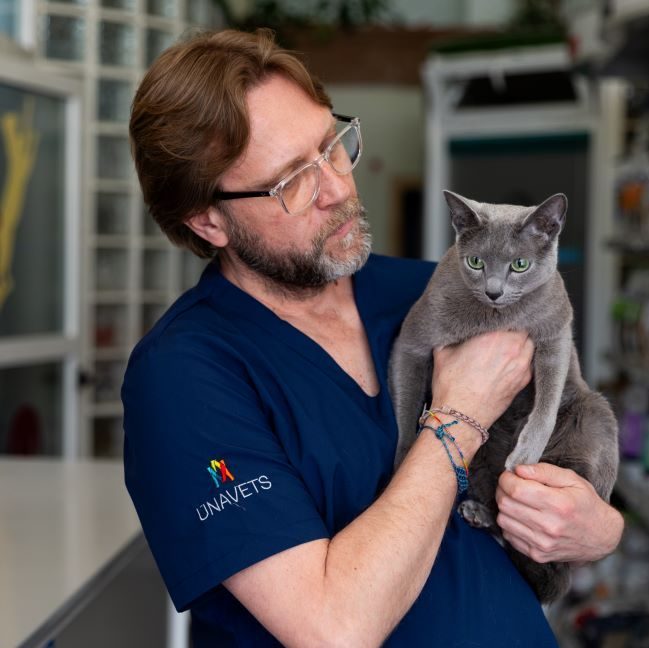 veterinario la vall d'uixó