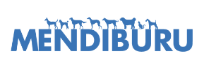 Mendiburu 
