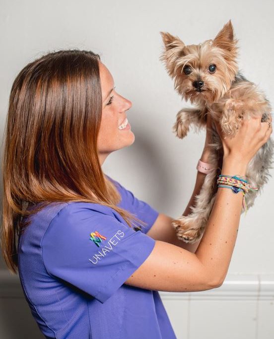 Clínica Veterinaria Miranda 0