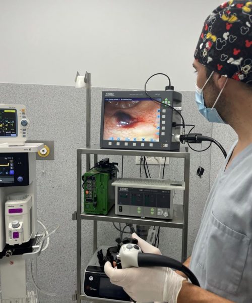 endoscopia 2