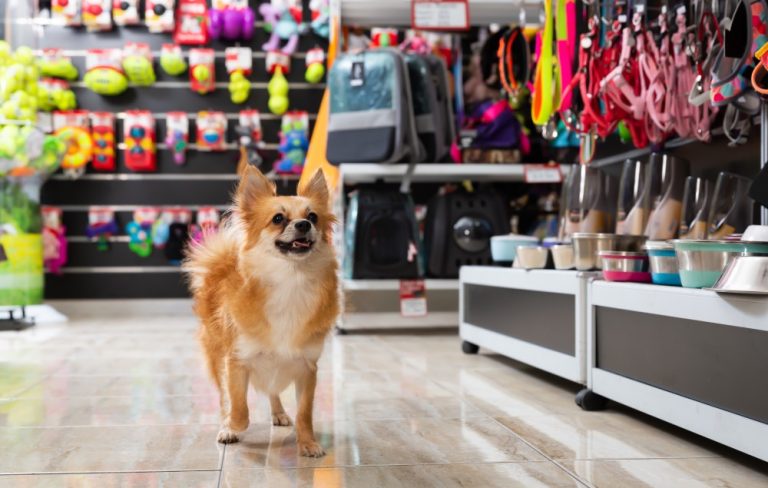 Nueva shop pet center