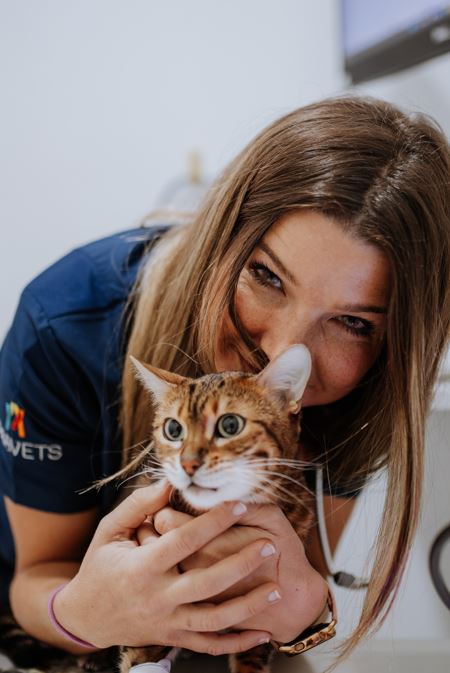 centros veterinarios valvet