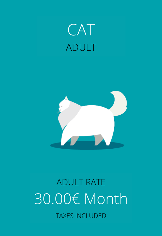 Cat Health Plan 1