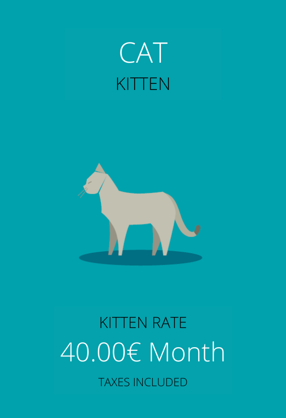 Cat Health Plan 0