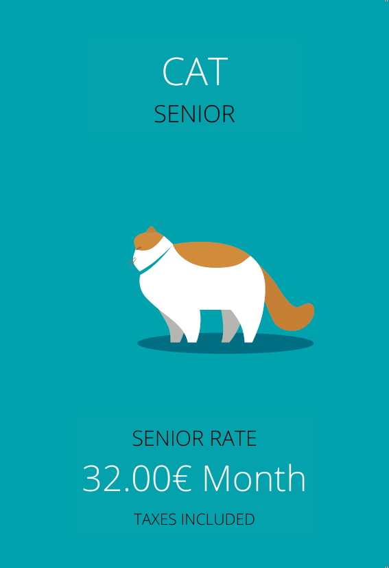 Cat Health Plan 2