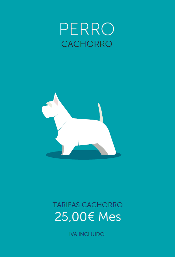Plan de salud perro 0