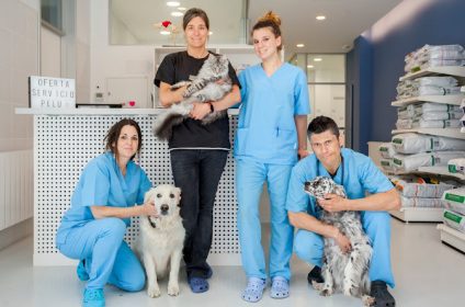 Irubide Clínica Veterinária