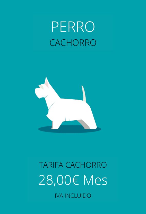 plan de salud perro cachorro