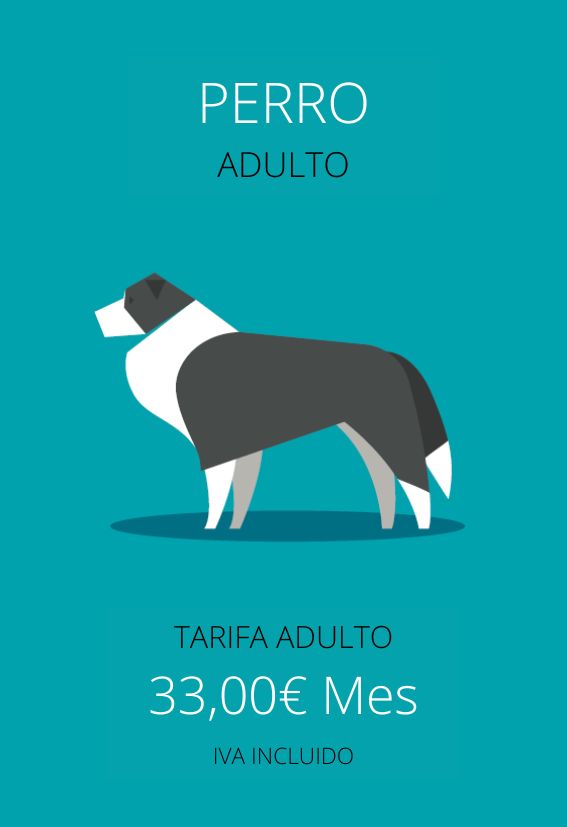 plan de salud perro adulto