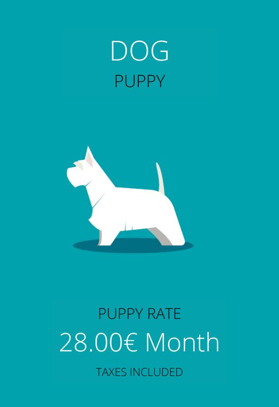 plan de salud perro cachorro