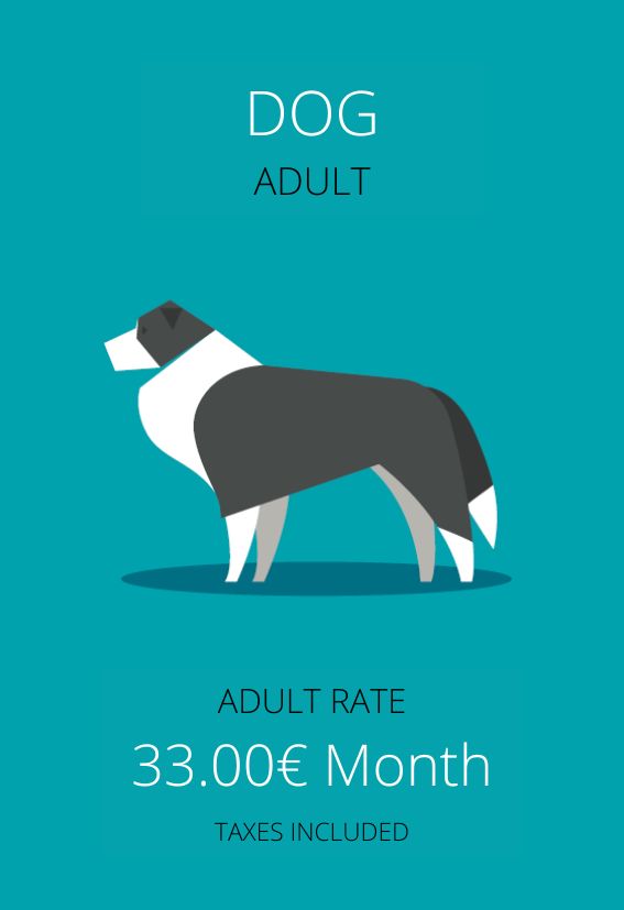 plan de salud perro adulto